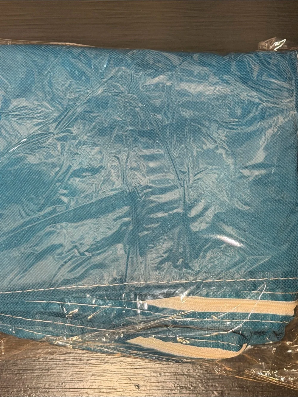 Teal Clear-Window Storage Tote Bag - Brand Unspecified
